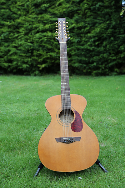 Vintage Gordon Giltrap Signature Series VE2000GG-12 guitar