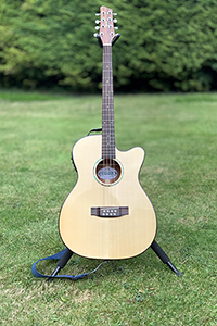 Ozark elctric-acoustic bouzouki
